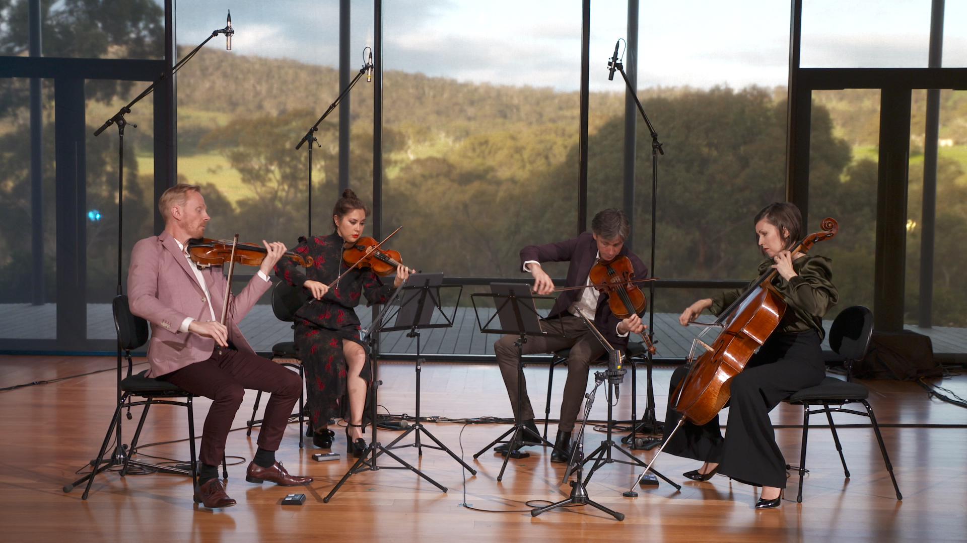 Australian String Quartet performs Mozart's 'Dissonance' quartet