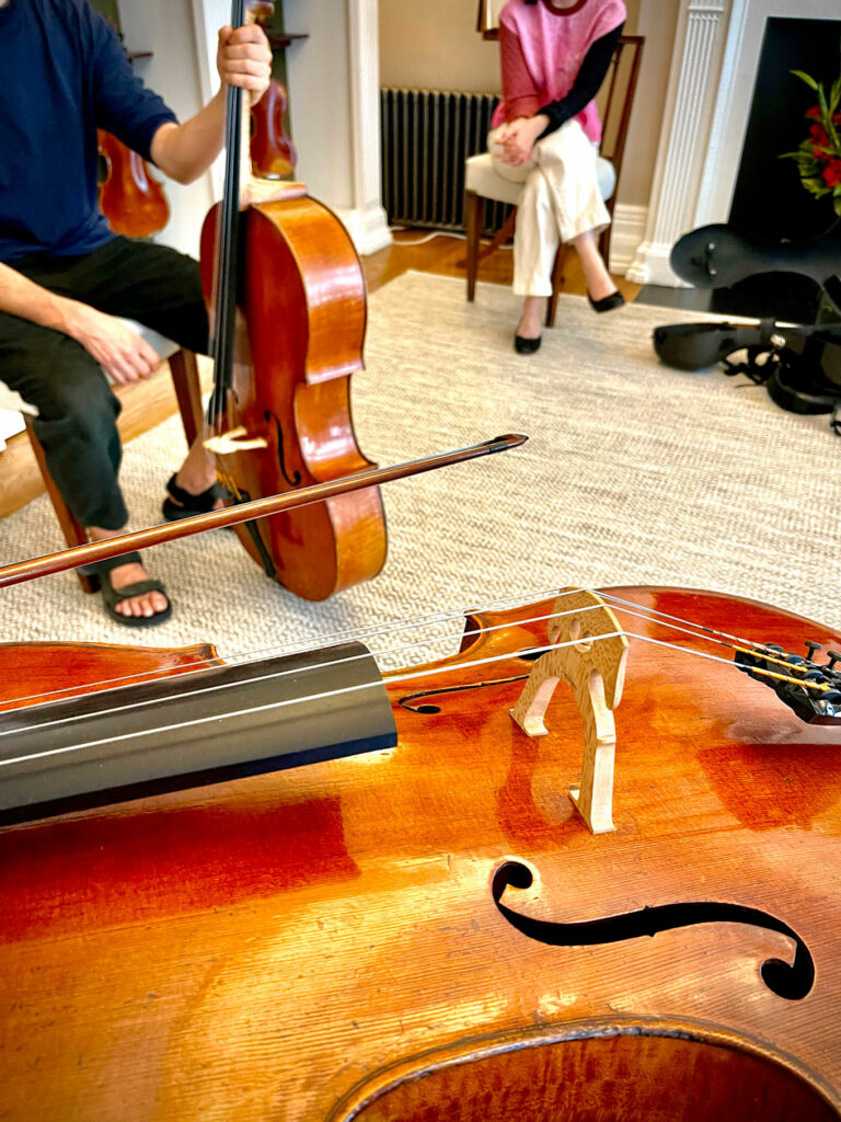 Two cellos in a workshop.
